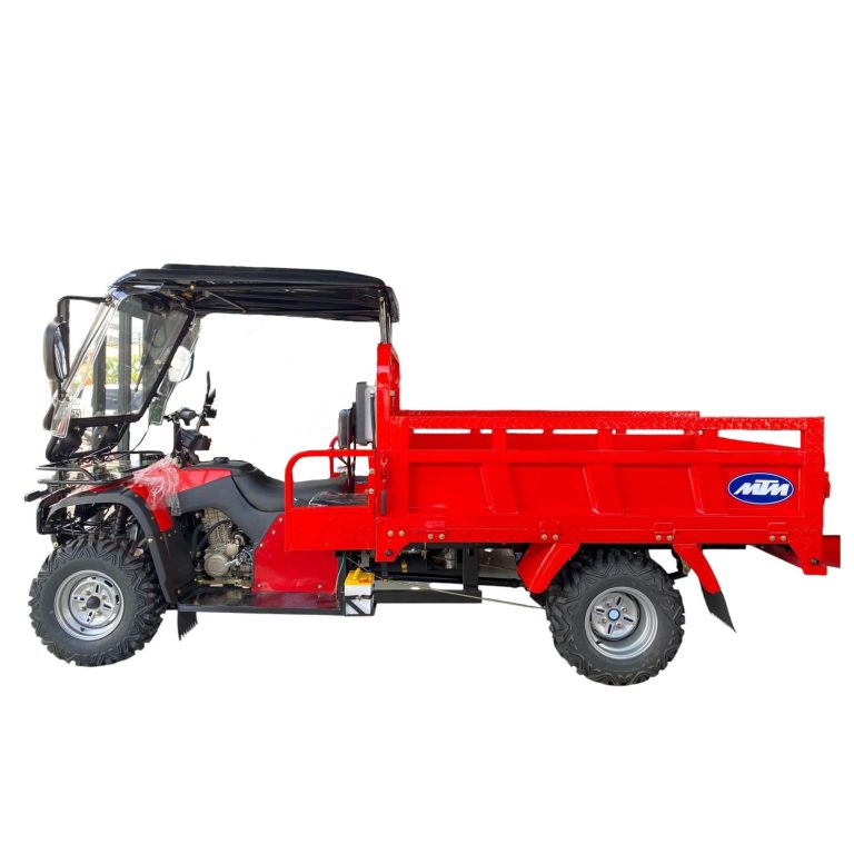 ATV TRUCK 4X2 300CC